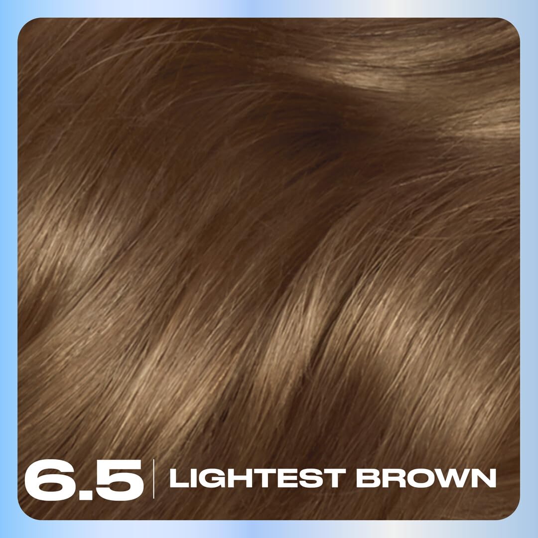 Clairol Nice'n Easy Permanent Hair Dye, 6.5 Lightest Brown | 100% Gray Coverage | Long?Lasting, Natural?Looking Color & Shine | Pack of 1 Beauty & Personal Care Clairol
