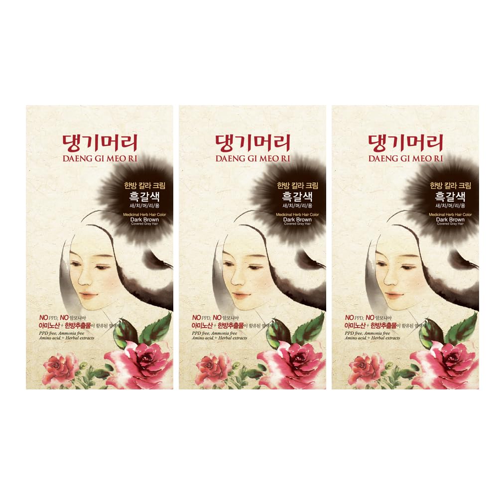 Daeng Gi Meo Ri - Korean Herbal Hair Dye Color Cream [Dark Brown] (3 PACK) - PPD-Free Gray Coverage, Hair Protection, High-Keratin Formula, 5 Oz Beauty & Personal Care Daeng Gi Meo Ri