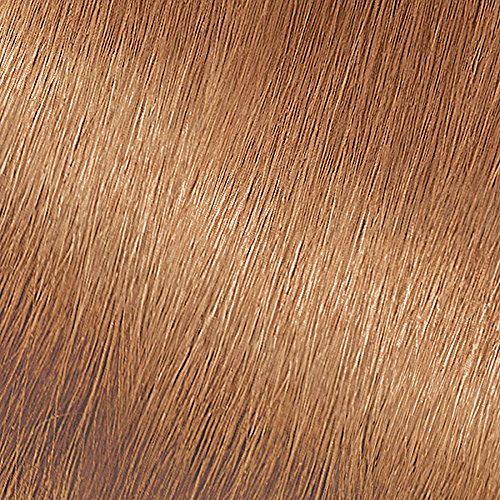 Garnier Nutrisse Nourishing Color Creme, 73 Dark Golden Blonde Beauty & Personal Care Garnier
