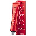 Schwarzkopf Igora Royal Hair Color 7-00 Medium Blonde Natural Extra Beauty & Personal Care Schwarzkopf Professional