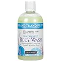 Ginger Lily Farms Botanicals Nourishing Body Wash, Island Tranquility, 100% Vegan & Cruelty-Free, Green Tea & Lemongrass Scent, 12 Fl Oz Beauty & Personal Care Ginger Lily Farms