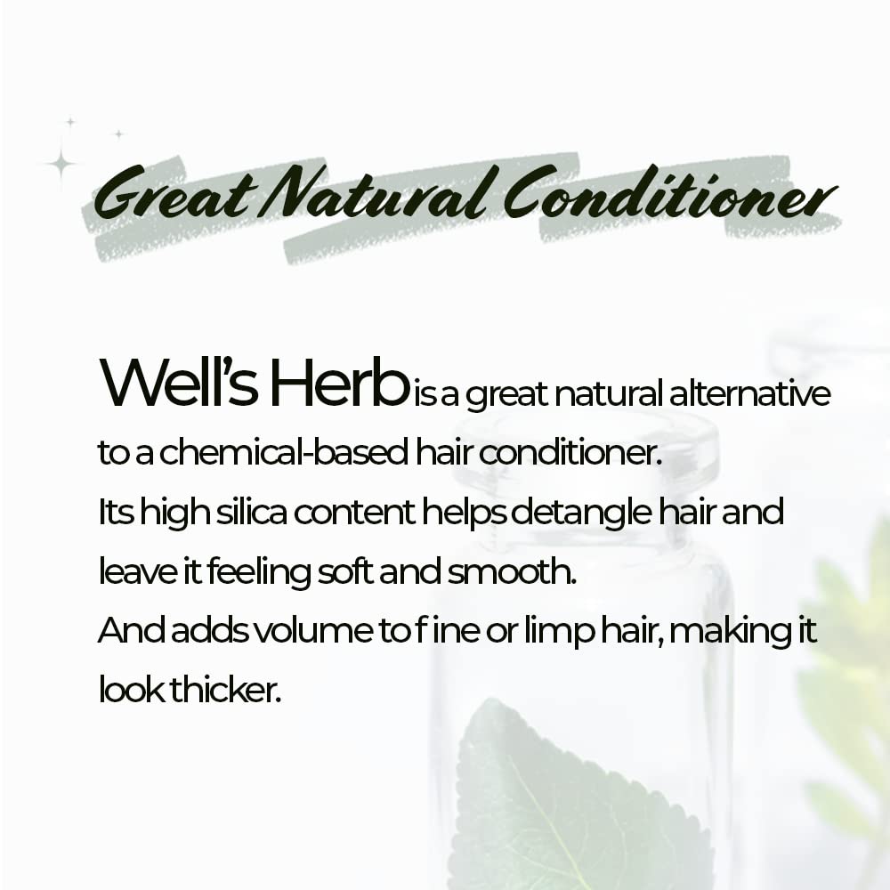 Well's Herb Dried Horsetail | 0.5 oz. | 100% Natural | Herbal Hair & Skin Oil Ingredient | DIY Beauty Essential Beauty & Personal Care Well's Oil