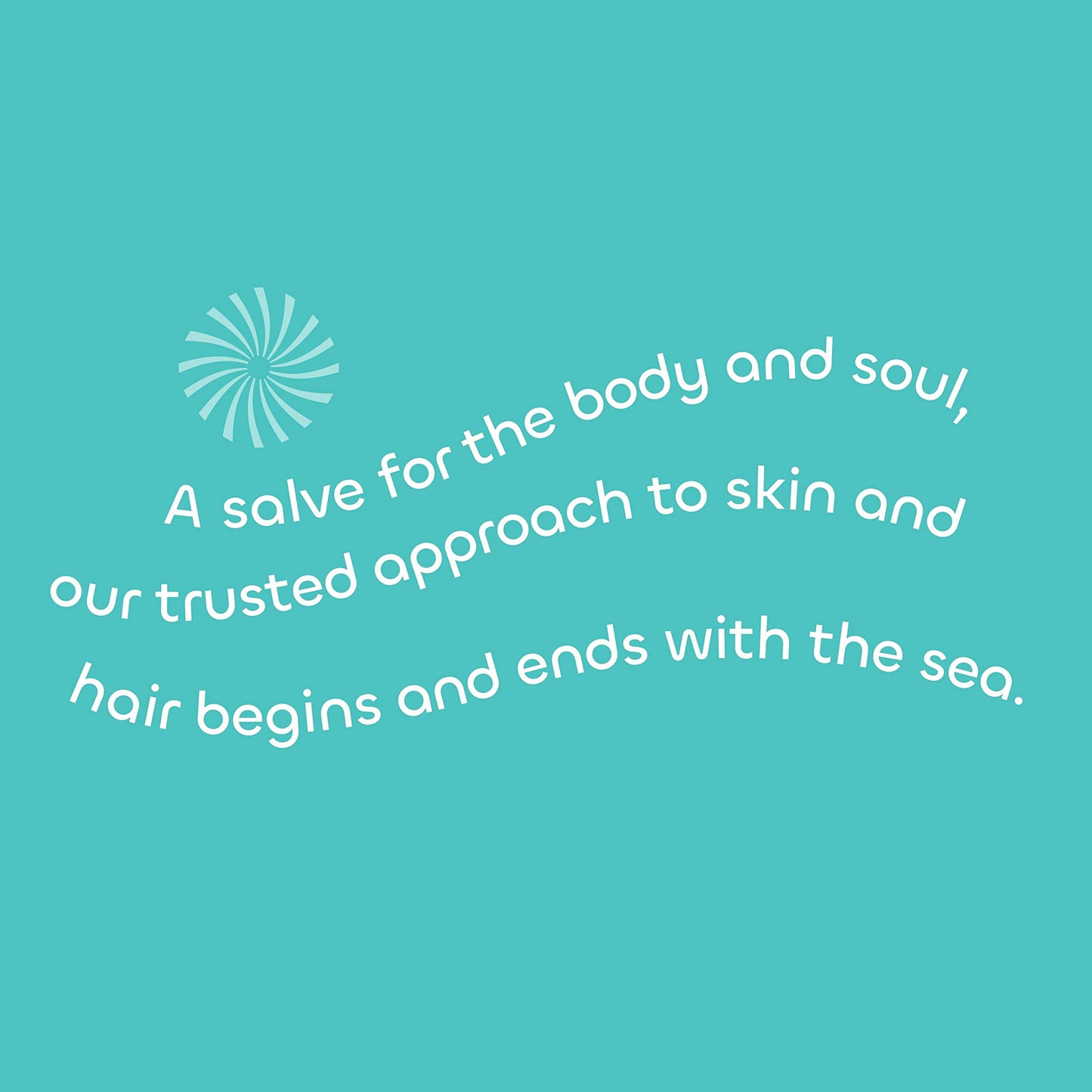 Seaweed Bath Co. Melt-In Water Lotion, Coconut Water Scent, 4 Ounce, Sustainably Harvested Seaweed, Sea Grape, Beta-Glucan Beauty & Personal Care The Seaweed Bath Co.