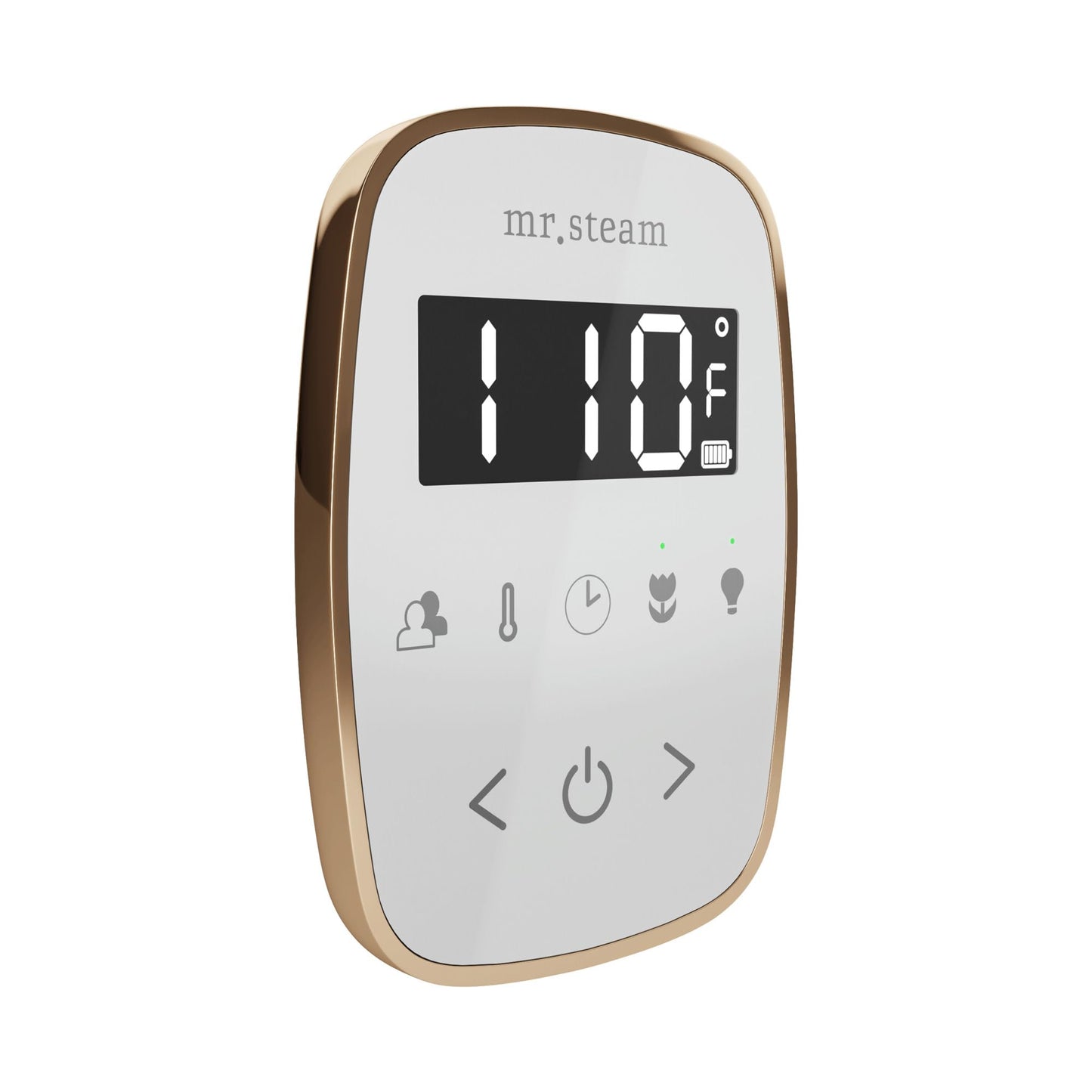 Mr Steam TempoFlex Steam Shower Control and Steamhead in White OilRubBronze Beauty and Personal Care Mr. Steam