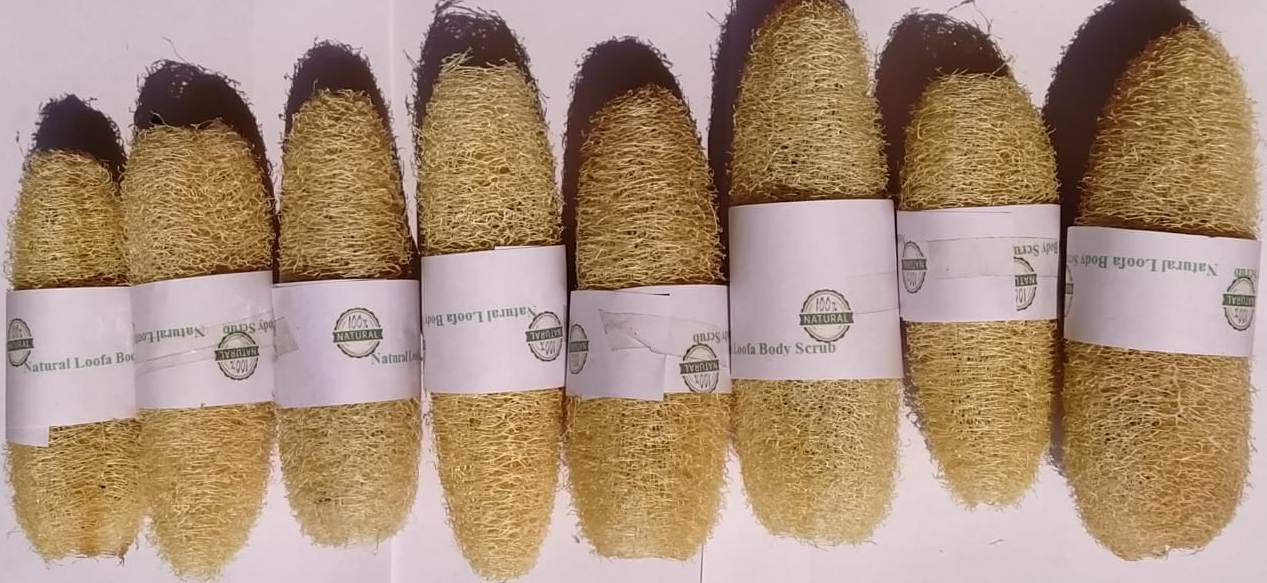 Vaibhav VVOS® 8 Pieces 100% Natural Organic Body Scrubber Loufah Sponges for Bathing -Natural loofah- 12 cm to 18cm Beauty and Personal Care Vaibhav