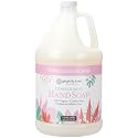Ginger Lily Farms Botanicals Conditioning Liquid Hand Soap Refill, 100% Vegan & Cruelty-Free, Vanilla Sugar Bliss Scent, 1 Gallon (128 fl oz) Beauty & Personal Care Ginger Lily Farms