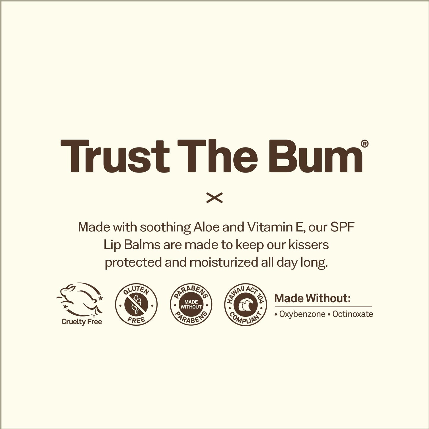 Sun Bum Sun Bum Spf 30 Sunscreen Lip Balm Vegan and Cruelty Free Broad Spectrum Uva/uvb Lip Care With Aloe and Vitamin E for Moisturized Lips Coconut Beauty and Personal Care Sun Bum