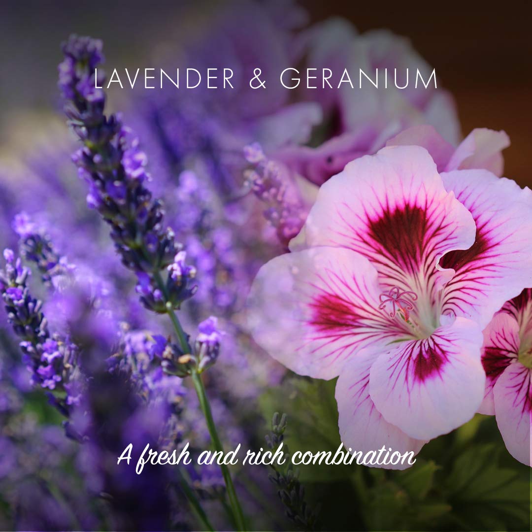 FRIENDLY SOAP Lavender Geranium Natural Shampoo Bar, 95 GR Beauty & Personal Care Friendly Soap