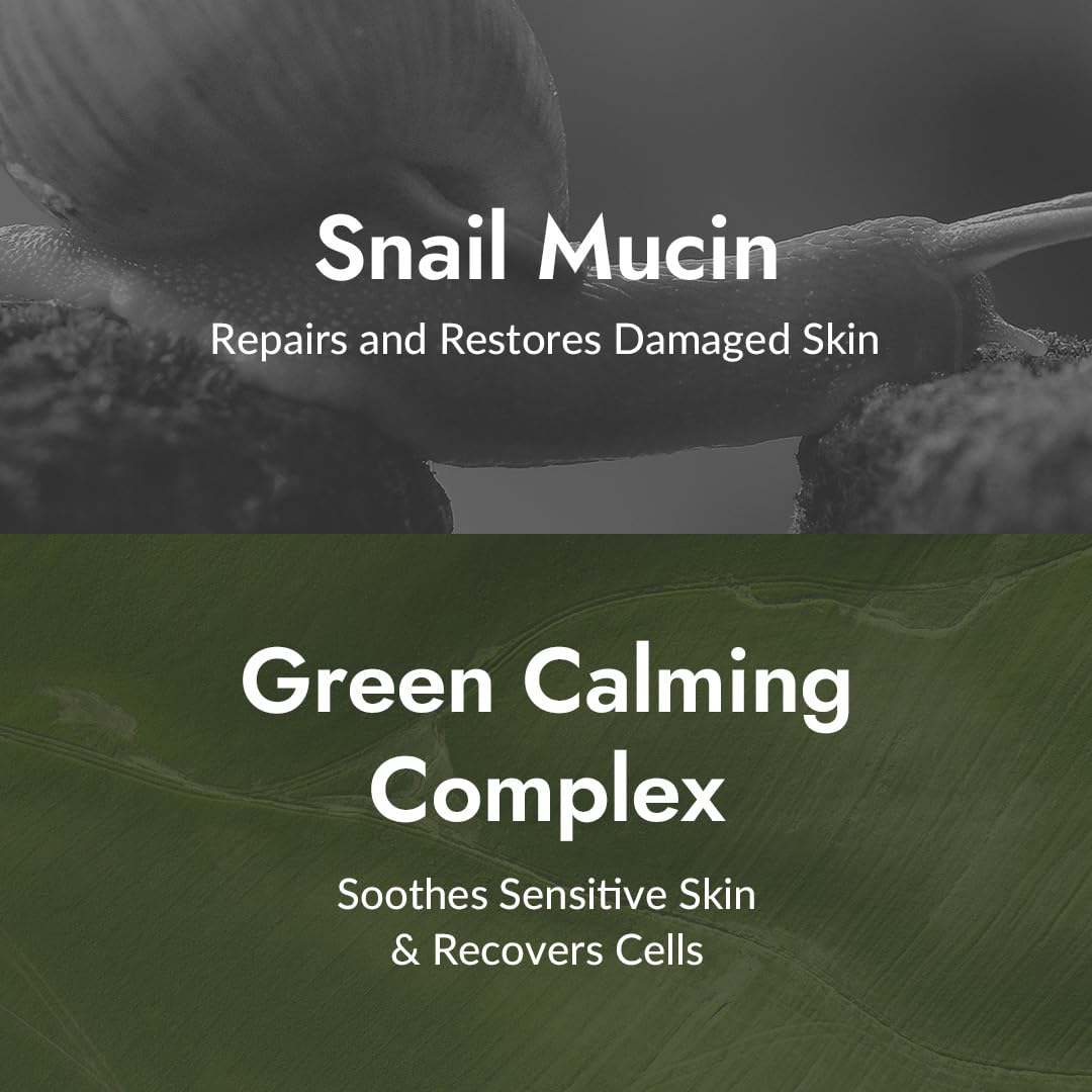 MIZON All-in-One Snail Repair Cream - Korean Face Moisturizer with Snail Mucin & 12 Natural Extracts - Hydrating & Nourishing Cream for Fine Lines Beauty & Personal Care MIZON