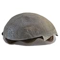 Super Thin Skin Toupee for Men Black Brown Human Hair Unit (3#-ash brown) Beauty & Personal Care Suncolor Hair