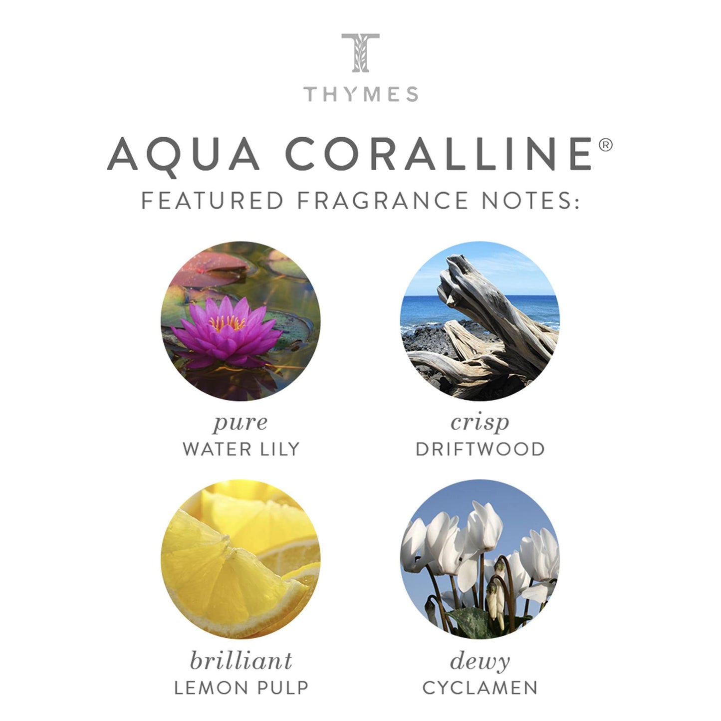 Thymes - Aqua Coralline Cologne - Refreshing Beach Fragrance - 1.75 oz Beauty & Personal Care Thymes