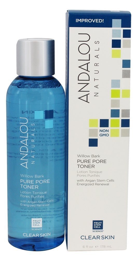 FACE PORE MINIMZR ALOE+WILLOW Beauty & Personal Care Andalou Naturals