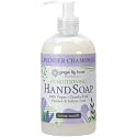 Ginger Lily Farms Botanicals Conditioning Liquid Hand Soap Refill, 100% Vegan & Cruelty-Free, Lavender Chamomile Scent, 12 Fl Oz Beauty & Personal Care Ginger Lily Farms