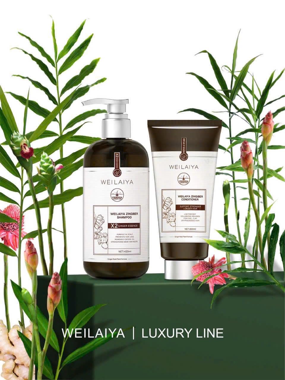 WEILAIYA LUXURY ZINGIBER SHAMPOO/CONDITIONER Beauty & Personal Care Weilaiya
