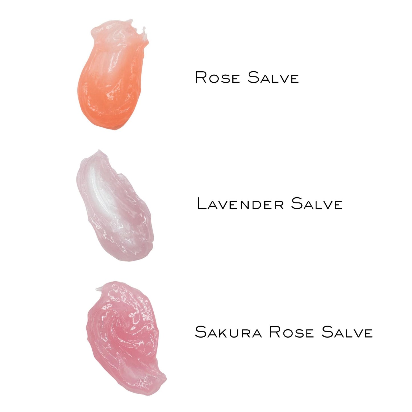 C.O. Bigelow Assorted Salve Tins, Pack of 3 Lip Balm Tins, Rose, Lavender, and Sakura Rose All Purpose Salve for Lips, Cuticles, Hands & Dry Skin, Lip Beauty and Personal Care C. O. Bigelow