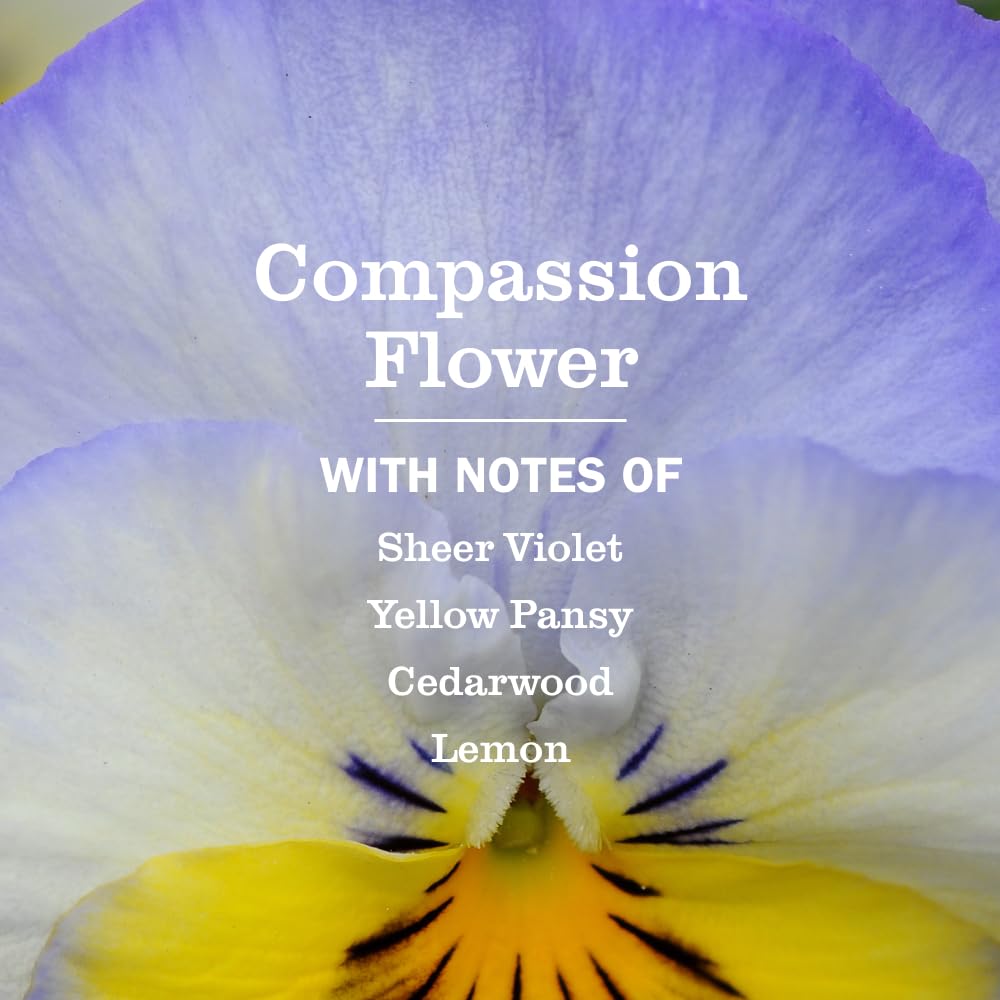 MRS. MEYER'S CLEAN DAY Hand Soap, Compassion Flower Scent, 12.5 Fl Oz Bottle Beauty & Personal Care Mrs. MEYER'S