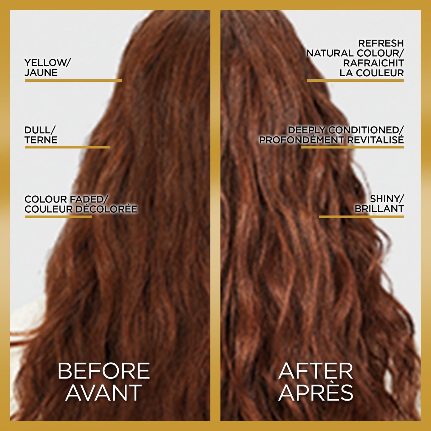 L’Oreal Paris Le Color One Step Toning Hair Gloss, Clear, 4 Ounce Beauty & Personal Care L'Oreal Paris