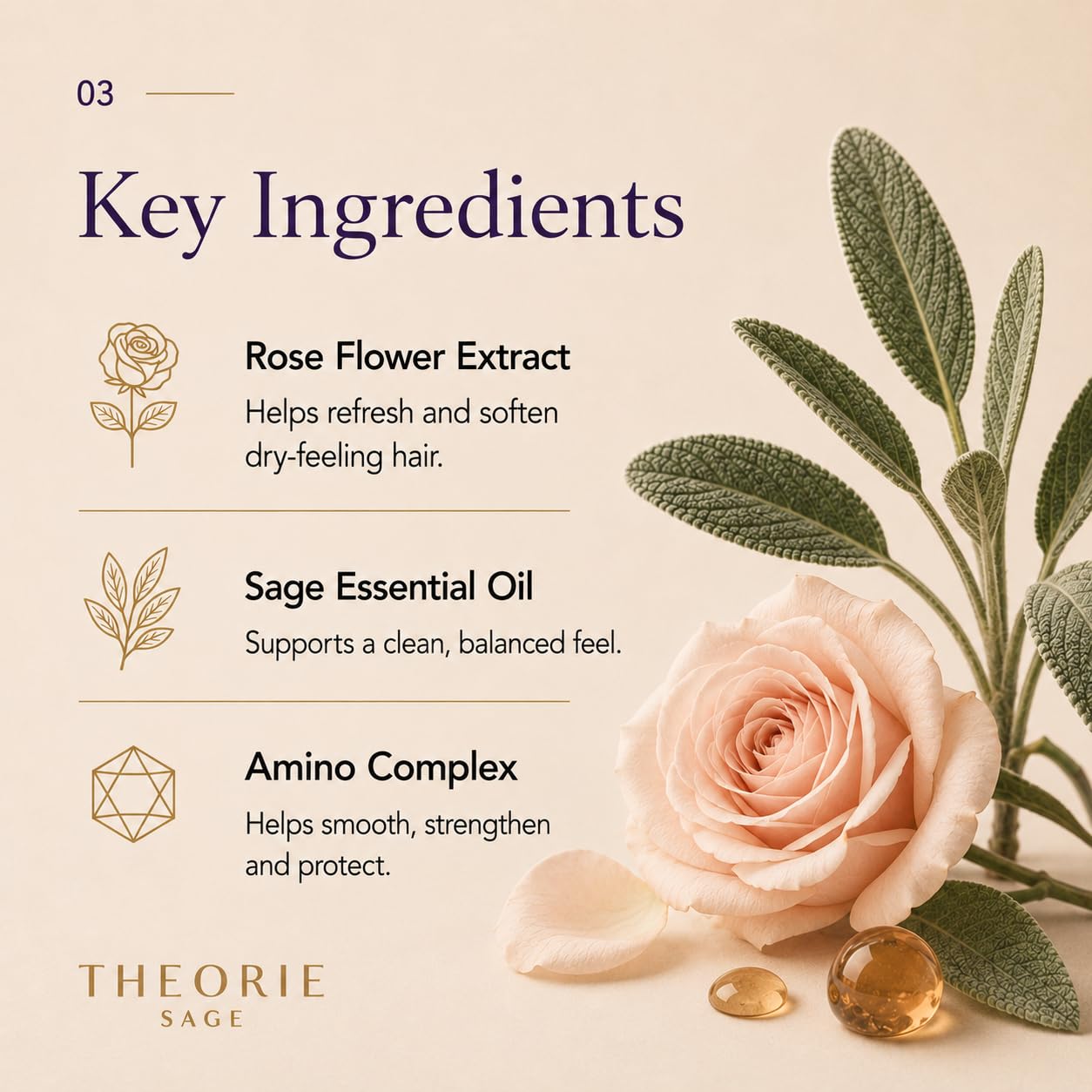 THEORIE 400 mL Shampoo & Conditioner Collection (THEORIE Sage Collection Hair Care Sets (Sea Kelp Mint 400mL Shampoo & Conditioner Set)) Beauty & Personal Care Theorie