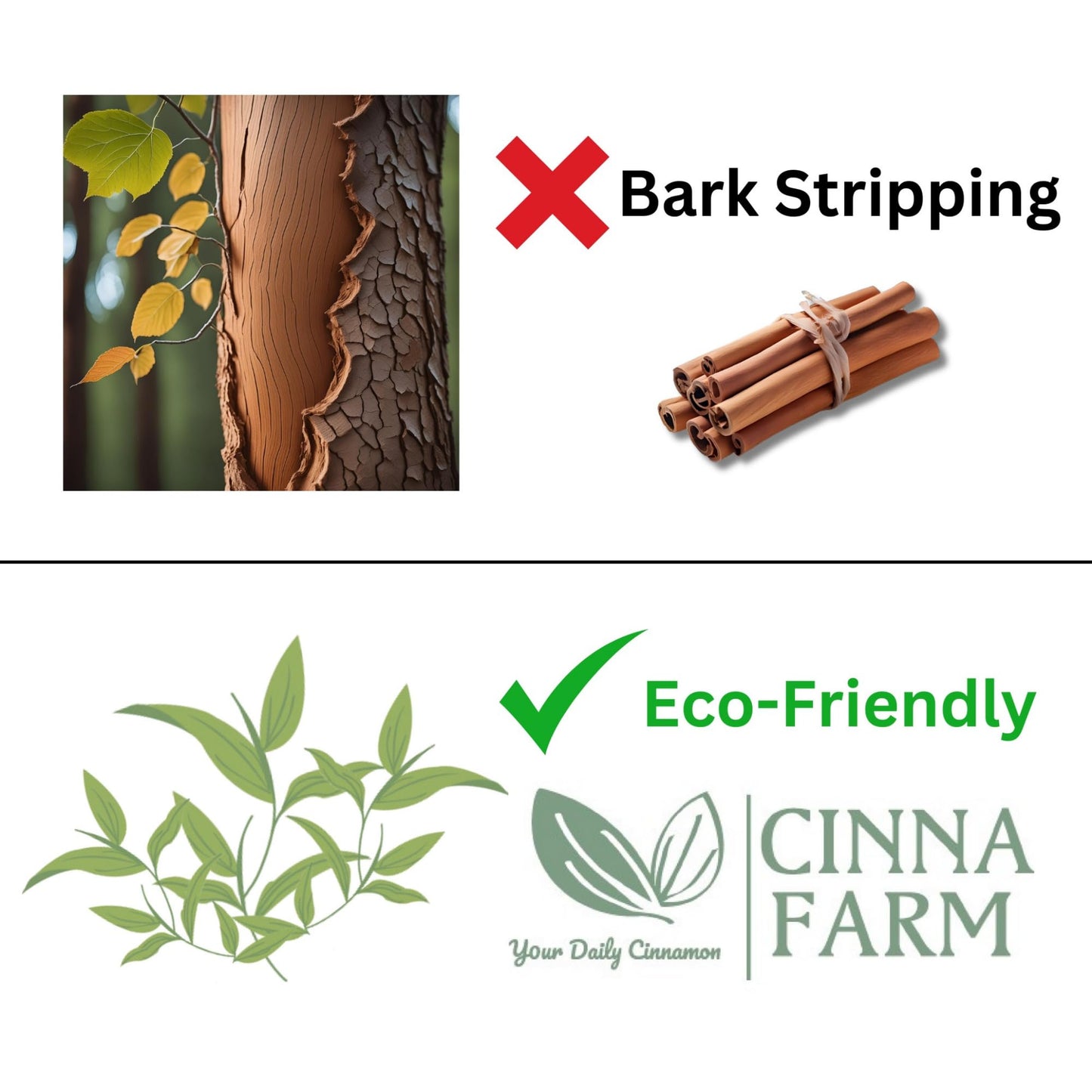 CinnaFarm Hand soap, from Cinnamon leaves extraction, cleansing and refreshing, natural ingredients, vitamin B5, no artificial flavors, fulfates Beauty & Personal Care CinnaFarm