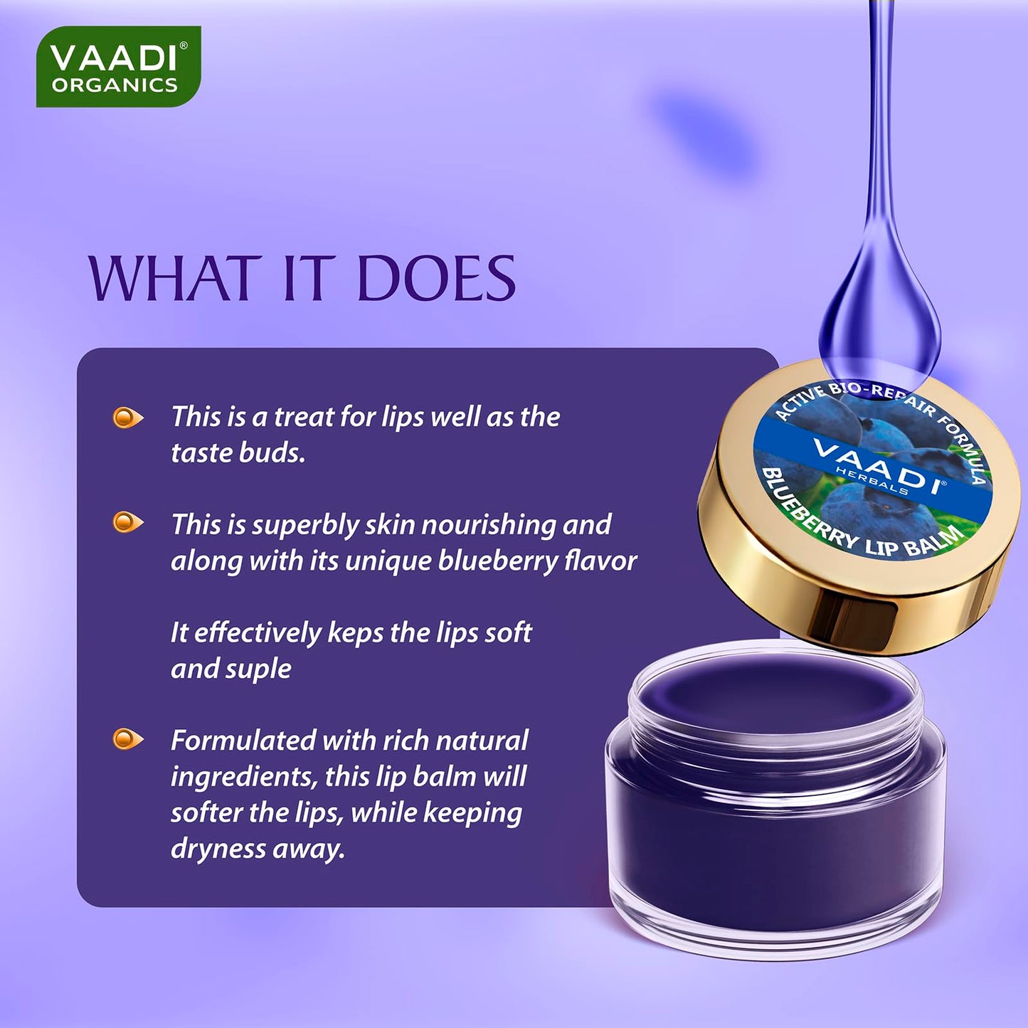 Vaadi Herbals Value Lip Balm, Blueberry, 4 x 10g Beauty and Personal Care Vaadi Herbals