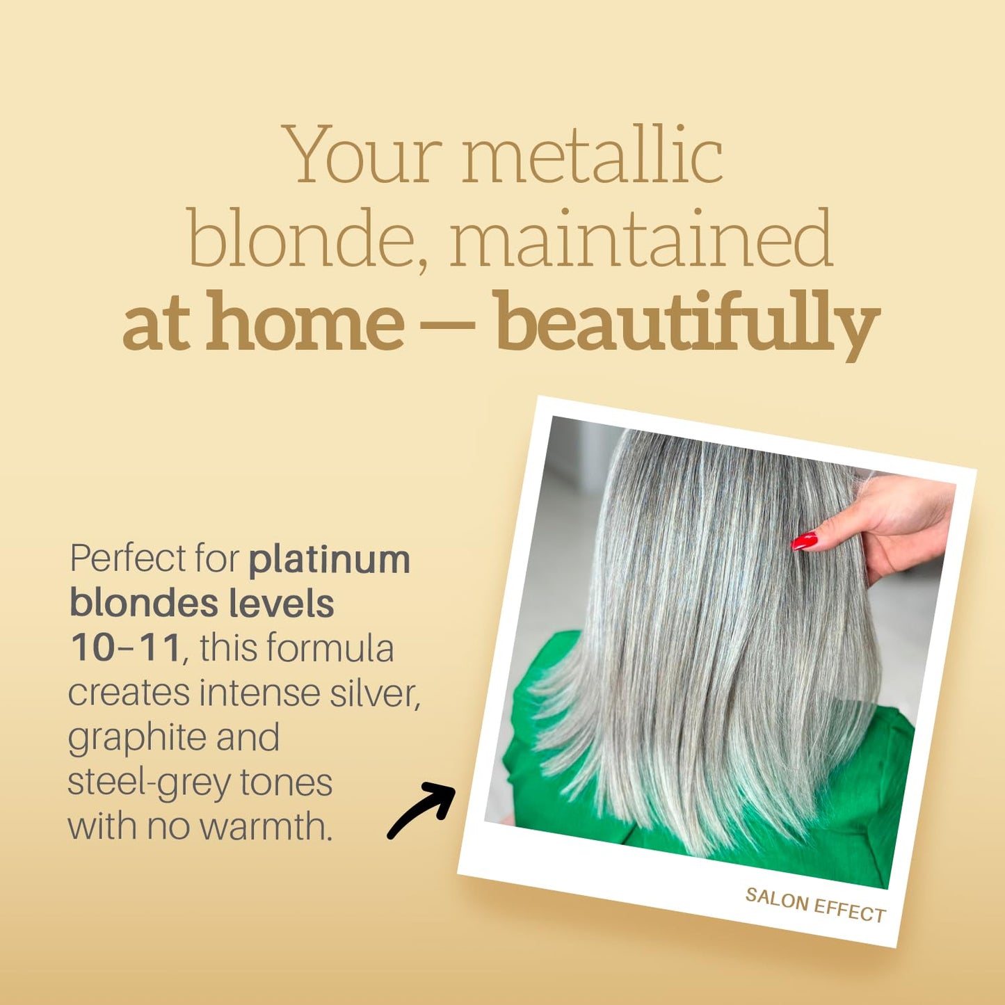 Robson Peluquero Black Toning Kit for Blonde Hair | Toning Shampoo + Hair Toner Gloss |Metallic Silver, Graphite, Steel Grey for Brassy, Bleached Beauty & Personal Care Robson Peluquero