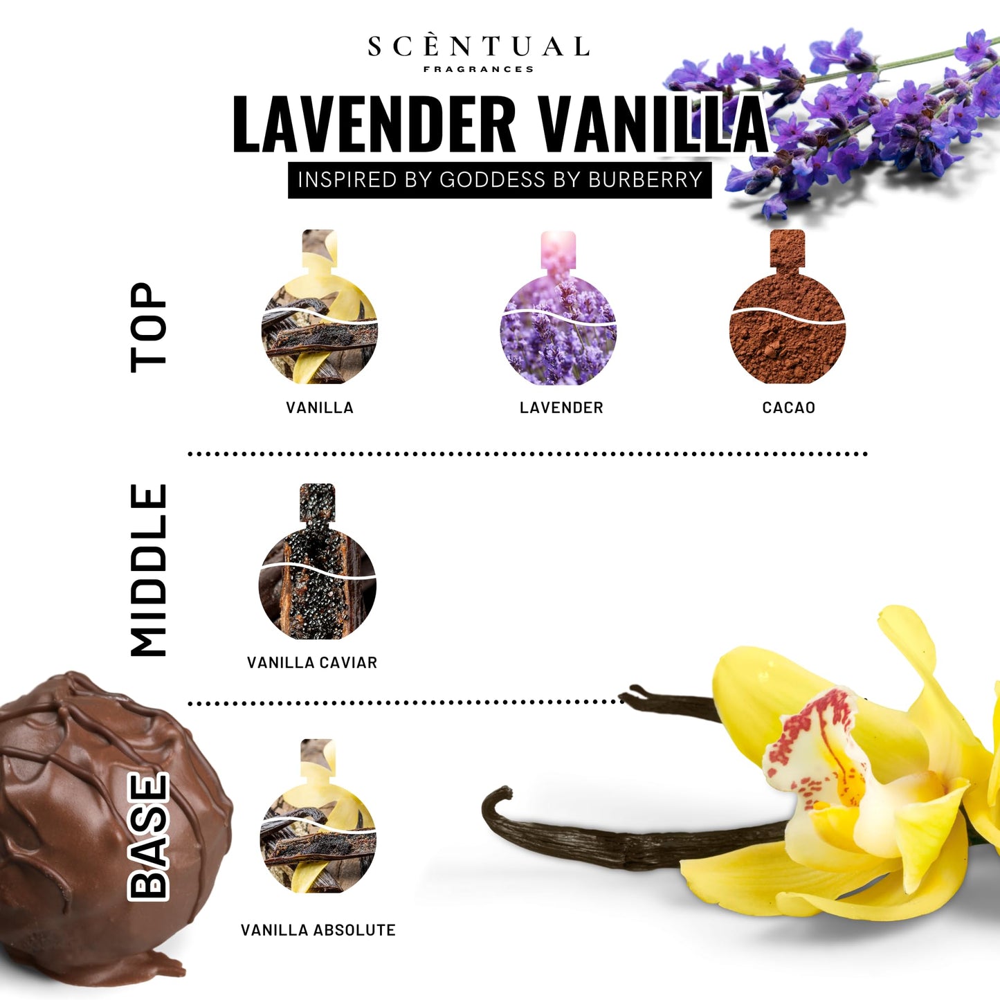 Scentual Fragrances, Ultra-Concentrated Hair & Body Perfume Mist, Long Lasting Women's Fragrance, Gourmand Perfumes for Women, Vegan and Cruelty Free Beauty & Personal Care Scentual Fragrances