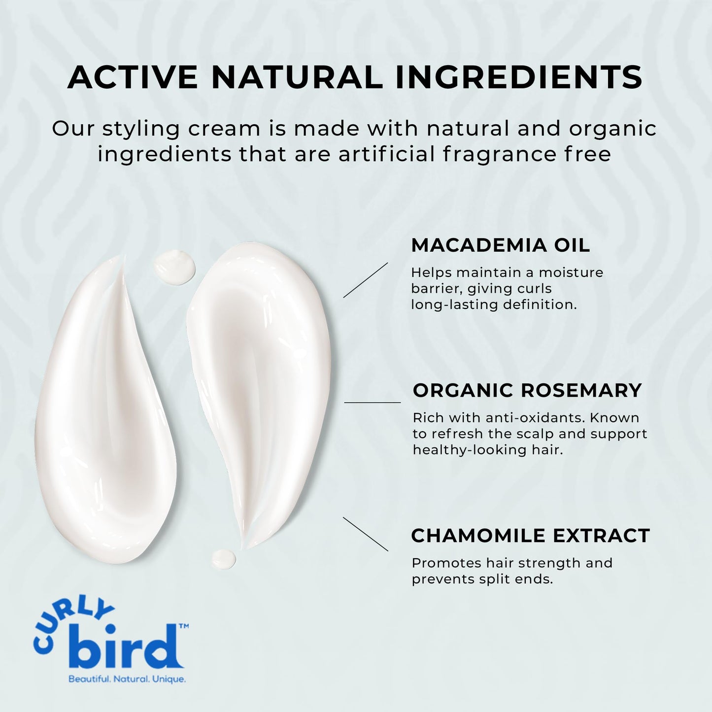 Curly Bird | Curl Defining Styling Cream | Fragrance Free | Family Friendly for Kids & Adults | Natural and Organic Ingredients | Medium Hold Without Beauty & Personal Care Curly Bird