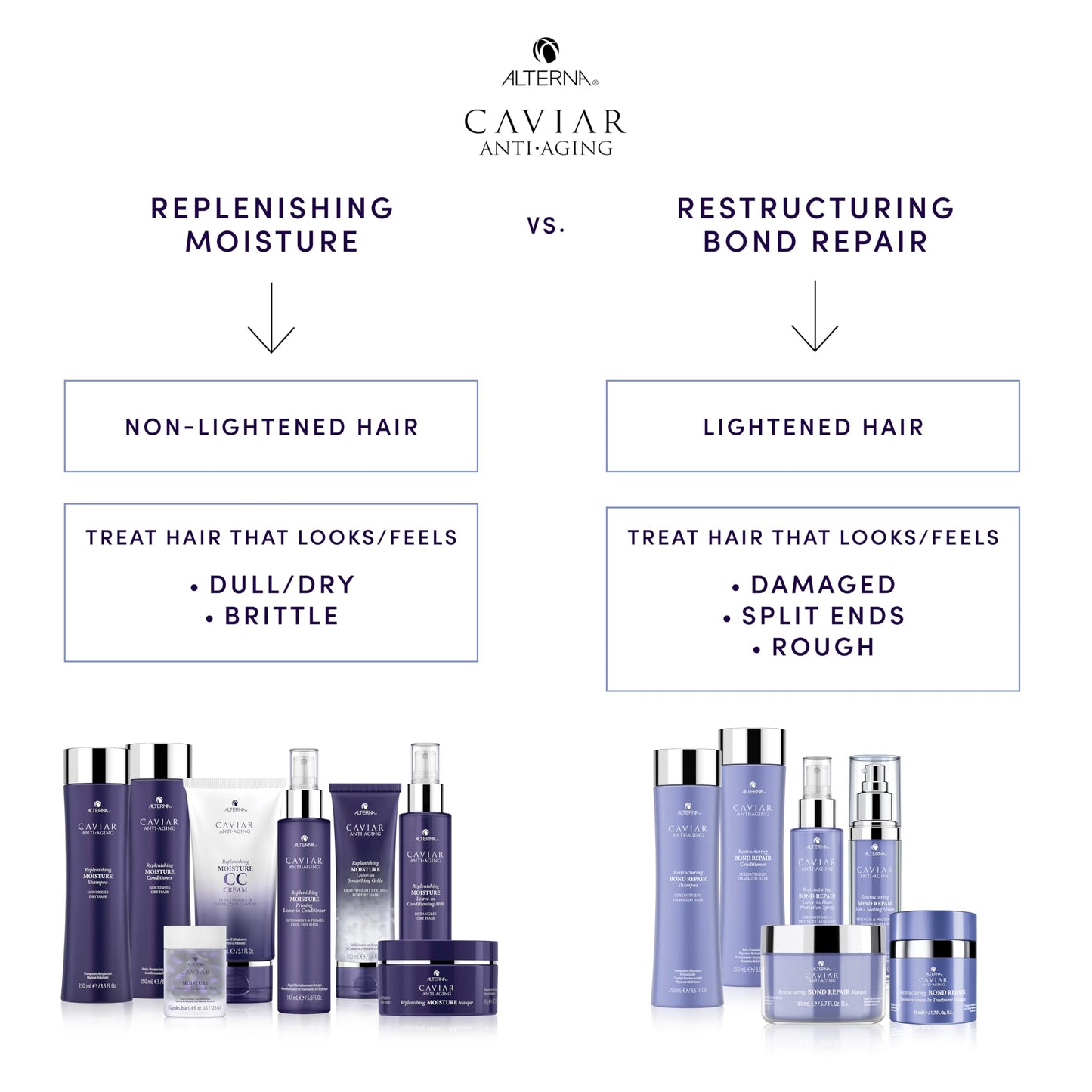 Alterna Caviar Anti-Aging Replenishing Moisture Conditioner, 8.5 Fl Oz (Pack of 1 Beauty & Personal Care Alterna