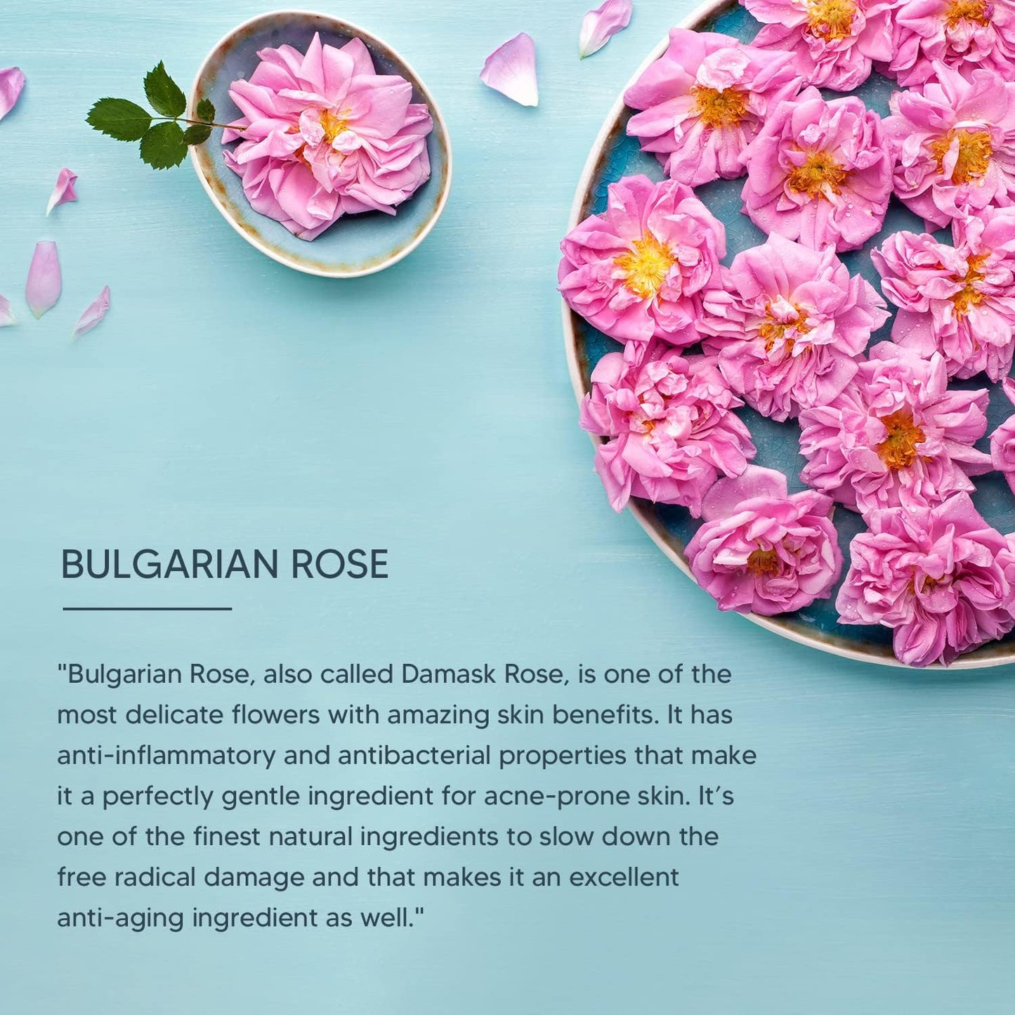 Lotus Professional Dermo Spa Bulgarian Rose Skin Radiance Creme with SPF20, 50g Beauty & Personal Care Lotus Professional