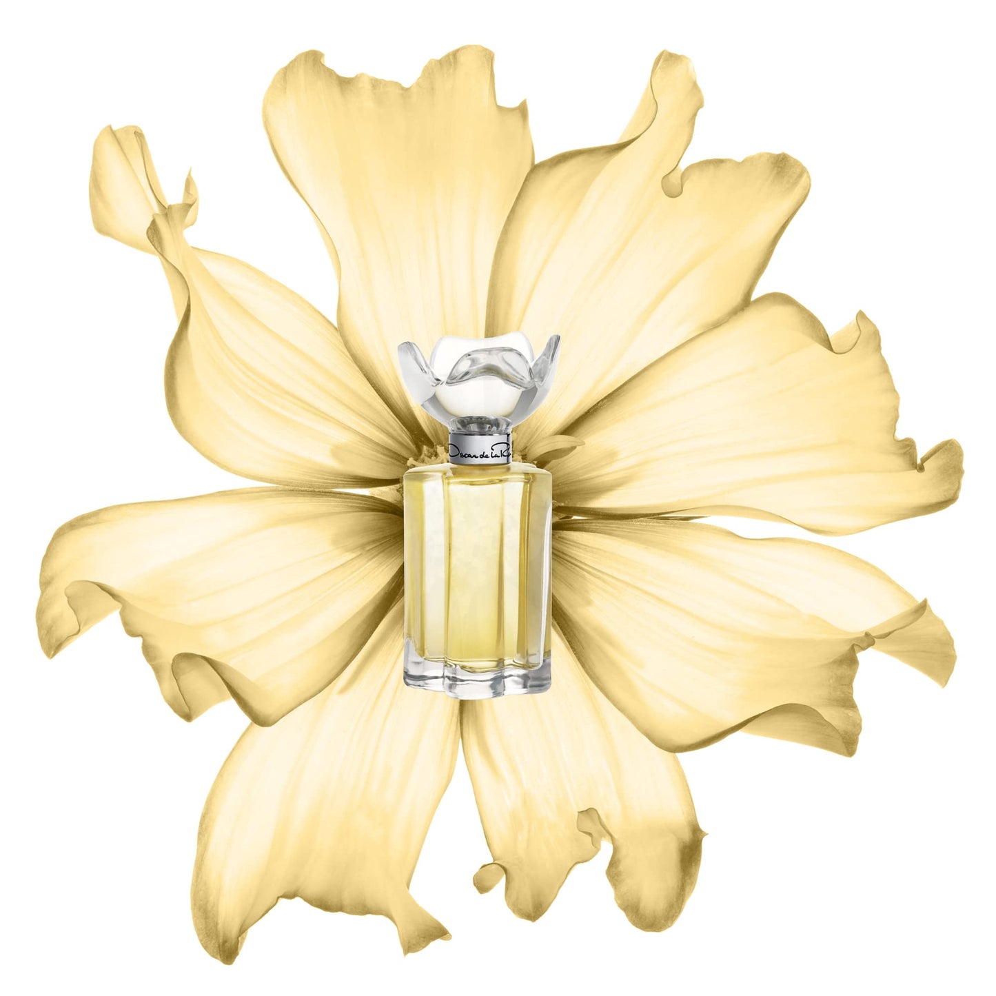 Oscar de la Renta Esprit D'Oscar Eau de Parfum Perfume Spray for Women, 3.4 Fl. Oz. Beauty & Personal Care Oscar de la Renta