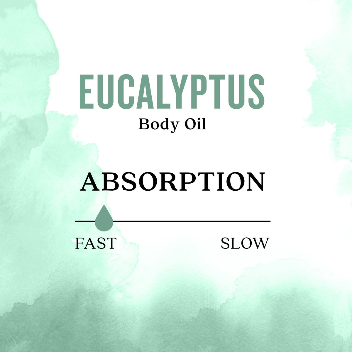 Aura Cacia Body Oil, Clearing Eucalyptus, 4 Fluid Ounce