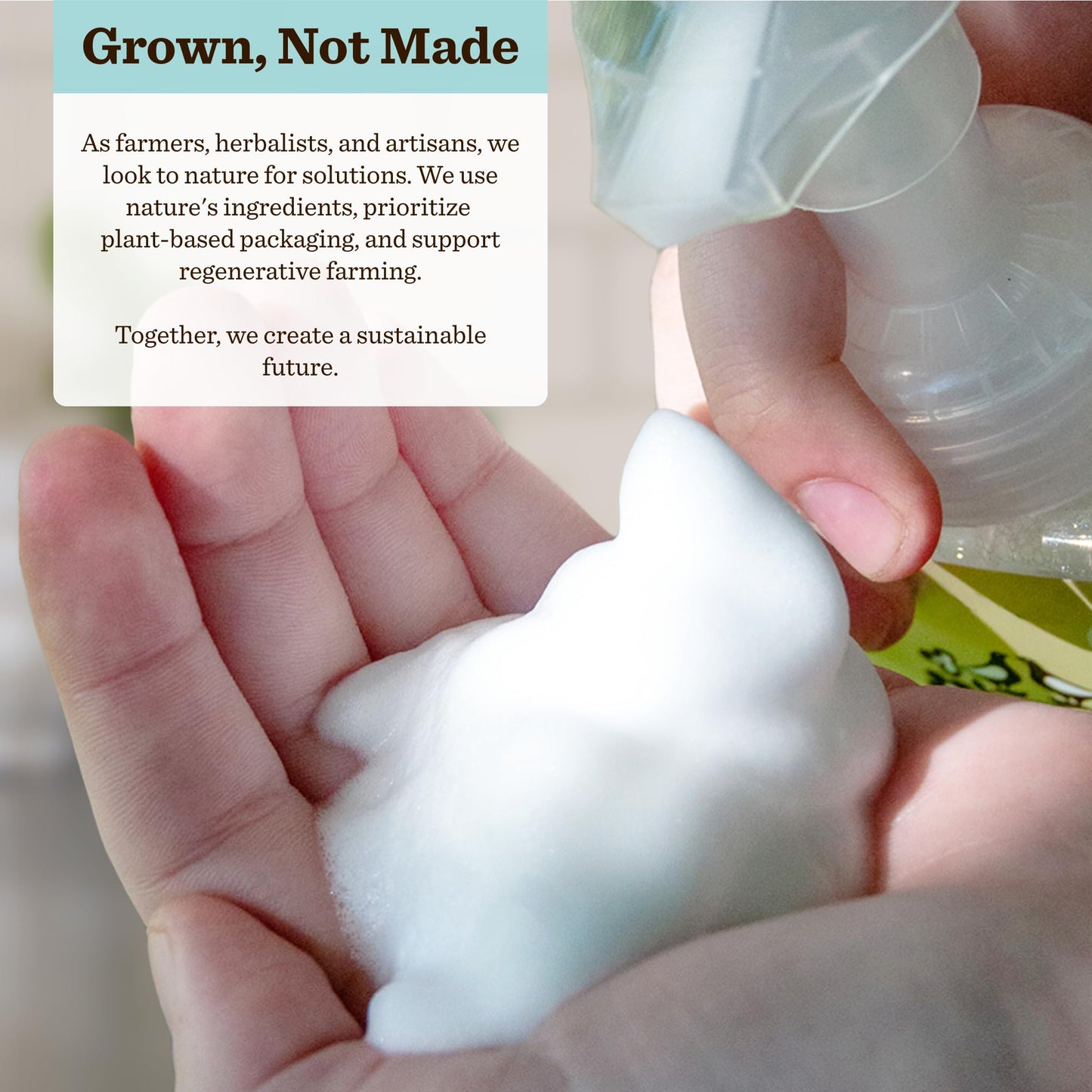 Moon Valley Foaming Hand Soap Refill Pouch, Two-Pack Mint Lavendar Soap, Vegan and Non-GMO, Environmentally Friendly Option Beauty & Personal Care Moon Valley Organics