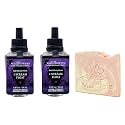 Bath & Body Works I Scream Float Wallflowers Fragrance Refill Pack of 2 with a Himalayan Salts Springs Sample Soap. Beauty & Personal Care Bath & Body Works