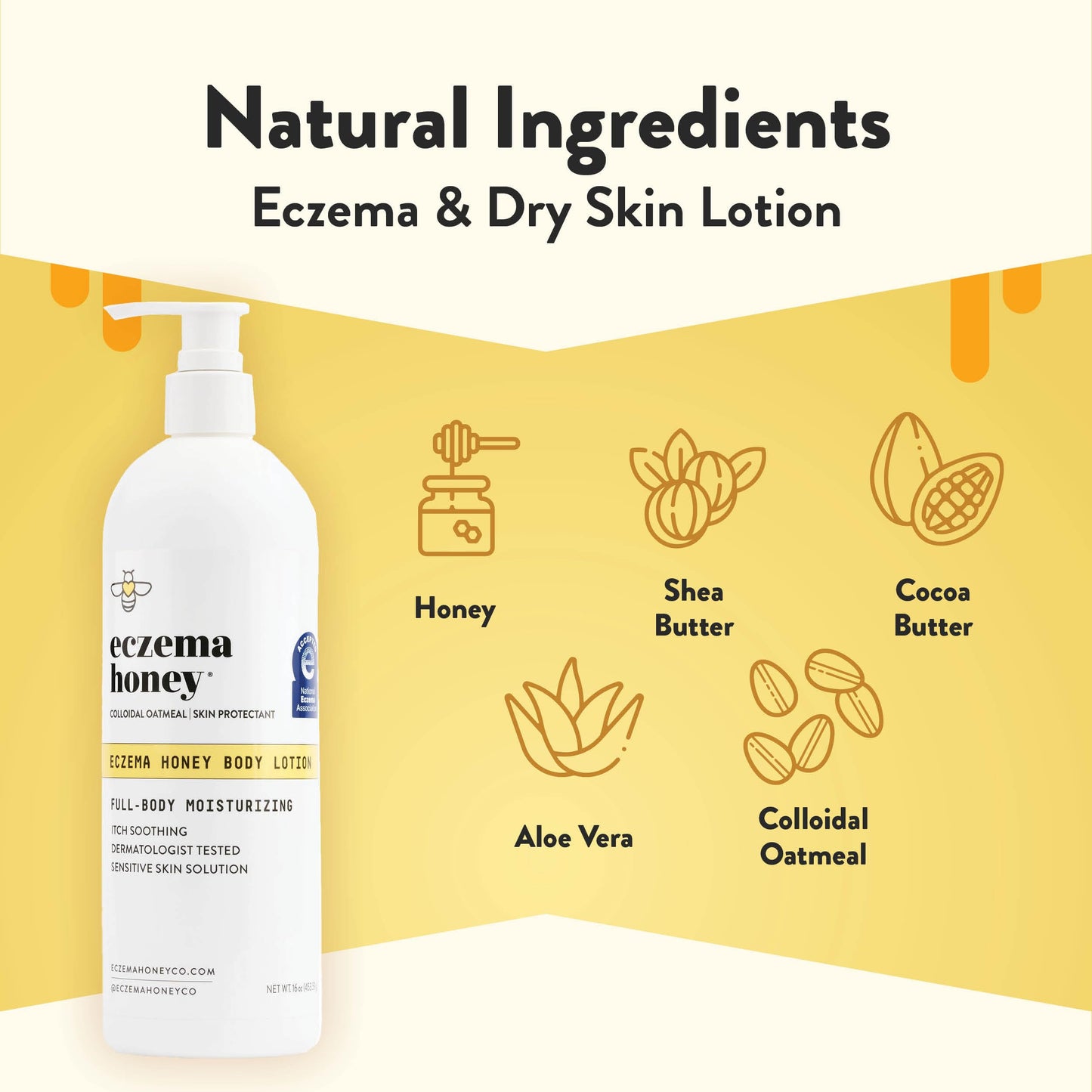ECZEMA HONEY Oatmeal Body Lotion - Hand & Body Cream for Eczema Relief - Natural Dry Skin Repair (16 Oz) Beauty and Personal Care ECZEMA HONEY