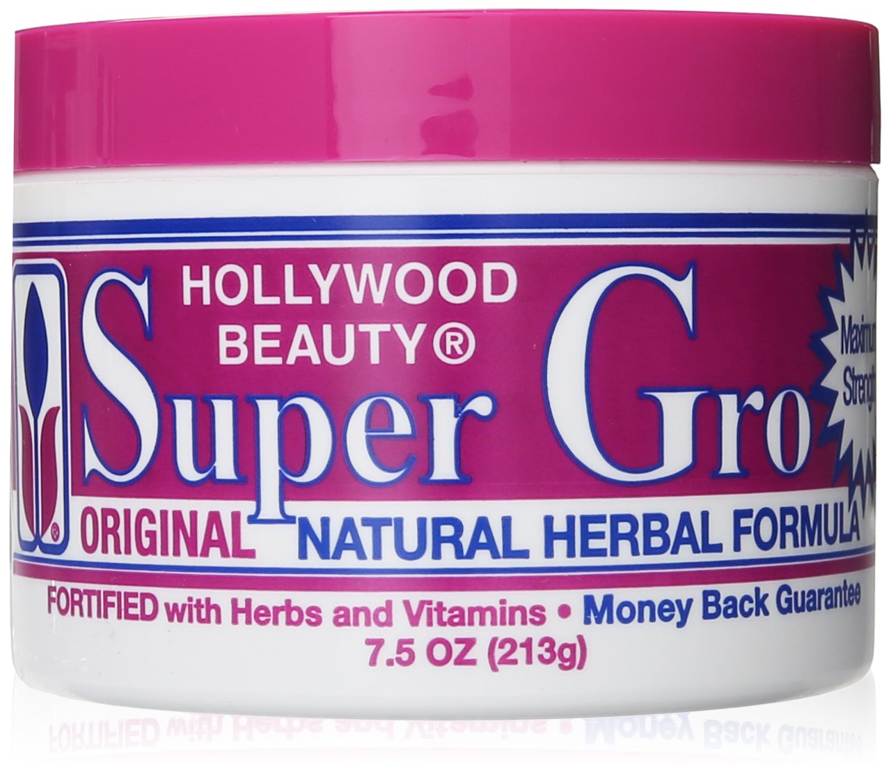 Hollywood Beauty Super Gro Herbal Formula, 7.5 Ounce Beauty & Personal Care Hollywood Beauty