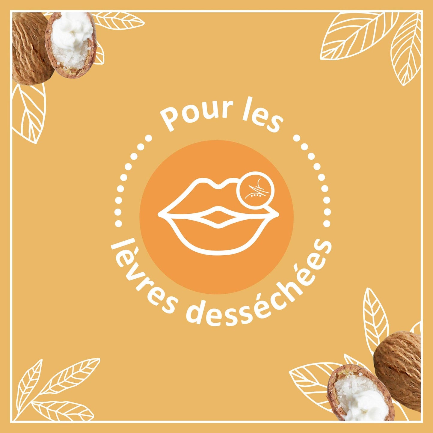 Le Petit Marseillais - Soin Lèvres Nutrition Lèvres Desséchées (2 tubes de 4,9 g) - Baume à lèvres au beurre de karité, amande douce et huile d'argan Beauty and Personal Care Le Petit Marseillais