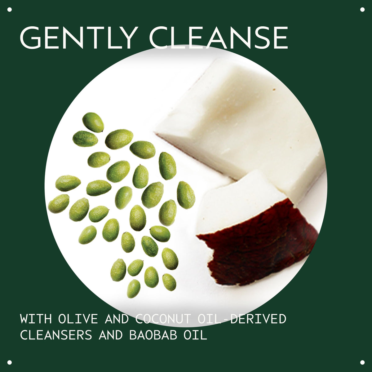 Aveda Botanical Kinetics All-Sensitive Cleaner | Gentle Facial Cleanser for Sensitive Skin | Fragrance Free | with Olive and Coconut Oil | 98% Beauty & Personal Care Aveda
