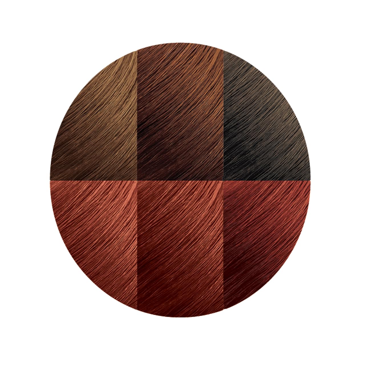 Creme Of Nature Color C21 Rich Brown Kit (6 Pack) Beauty & Personal Care Creme of Nature