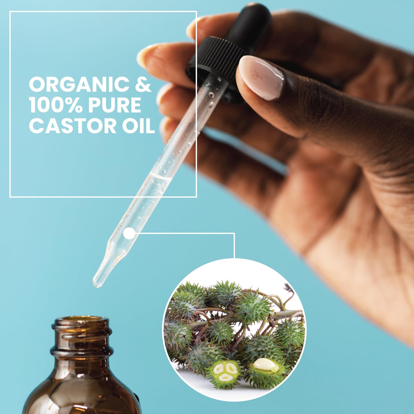 Eva Naturals 100% Pure Castor Oil - Cold Pressed for Eyelash, Eyebrow, Hair & Lash Growth, Thicker Brow & Face Serum Drops for Wrinkles, Hydrating Beauty & Personal Care Eva Naturals