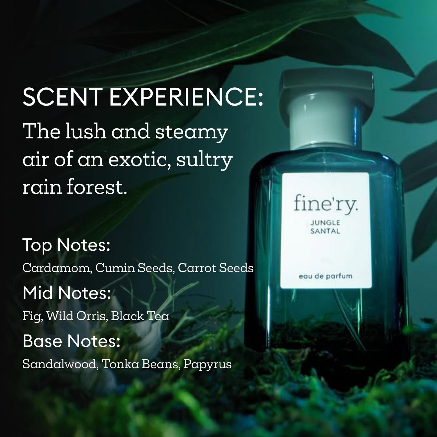Fine'ry Jungle Santal Eau De Parfum & Body Mist Gift Set | Earthy & Woody Notes Of Papyrus Wood & Black Oolong Tea | Fine Mist Spray & Perfume Beauty & Personal Care Fine'ry