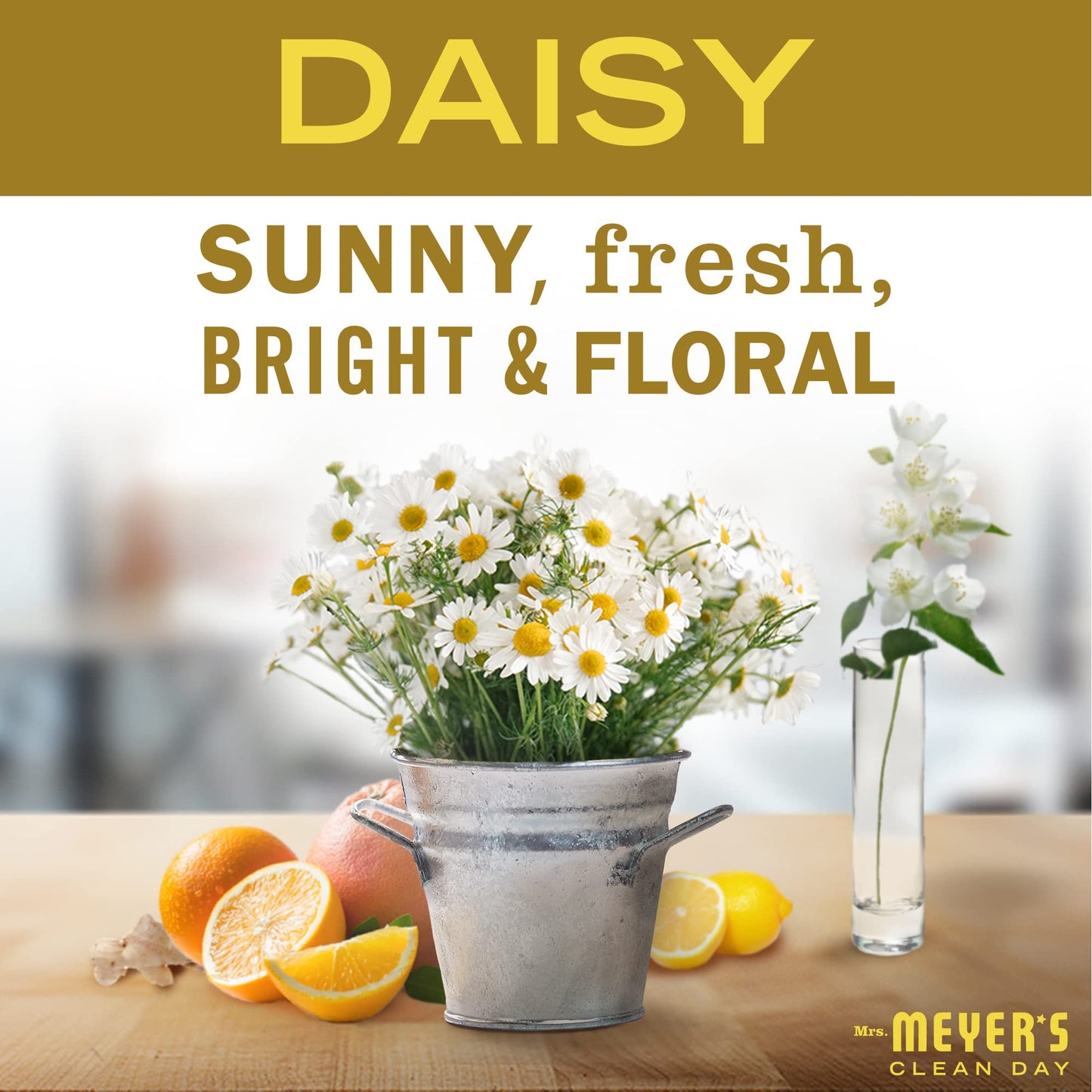 MRS. MEYER'S CLEAN DAY Liquid Hand Soap, Daisy, 12.5 OZ Beauty & Personal Care Mrs. MEYER'S