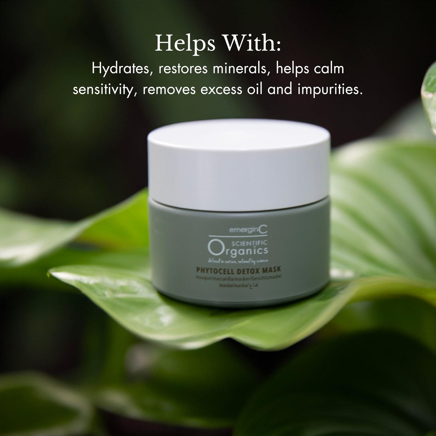 emergin C Scientific Organics Phytocell Detox Mask - Hydrating Facial Mask with French Green Clay, Seaweed + Plant Stem Cells - Draws Out Impurities + Beauty & Personal Care emergin C