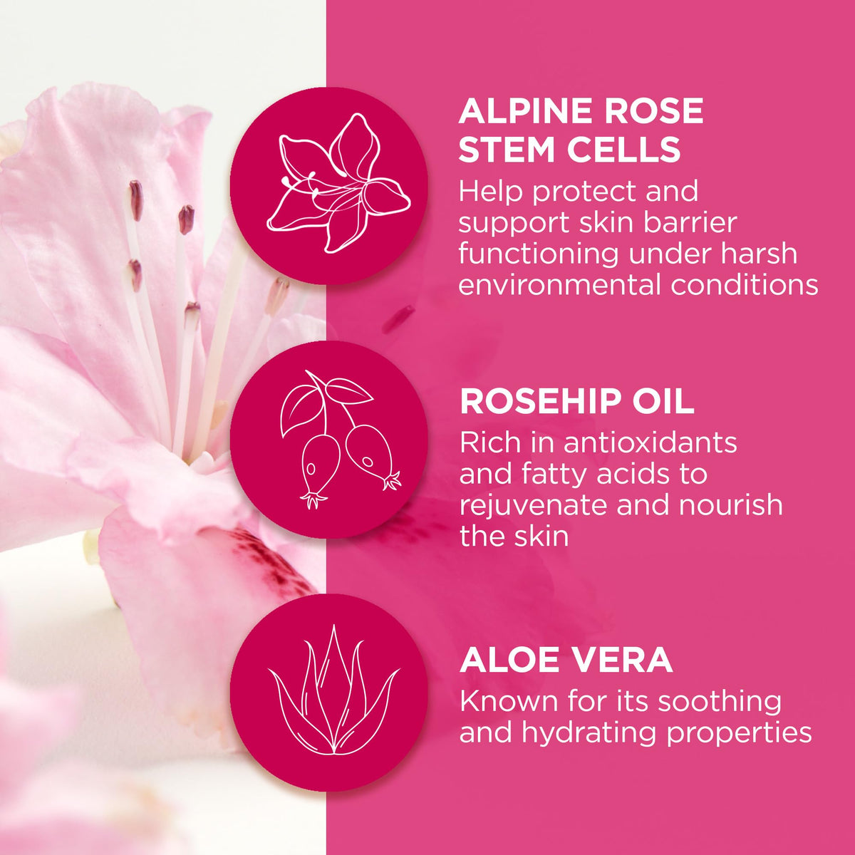 Andalou Naturals 1000 Roses Instant Soothe & Smooth Hydro Serum Facial Sheet Mask, Sensitive, Non GMO, 0.6 Fluid Ounces (Pack Of 6)