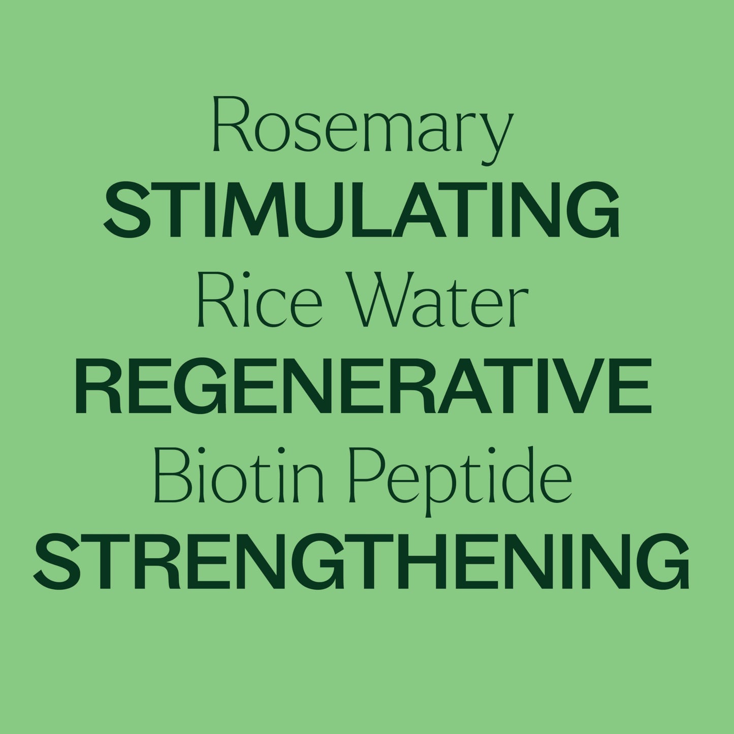 Plant Therapy Rosemary & Rice Water Spray 4 oz Daily Hair Growth Spray, Maximizes Natural Hair Growth, Boosts Strength & Elasticity, Adds Volume Beauty & Personal Care Plant Therapy