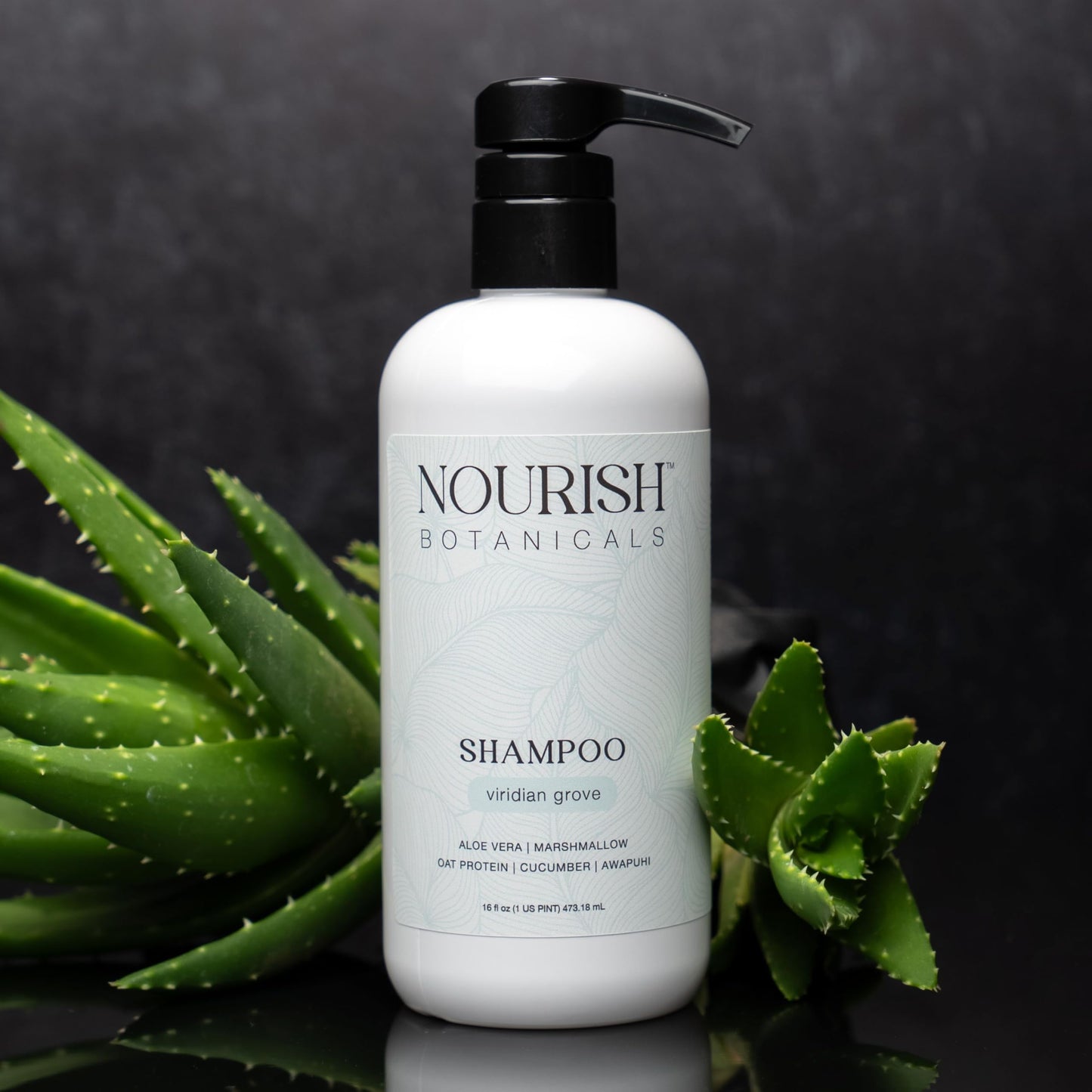 Rustic Strength Nourish Botanicals Aloe Vera Body Wash, Viridian Grove 16 oz Beauty & Personal Care Rustic Strength
