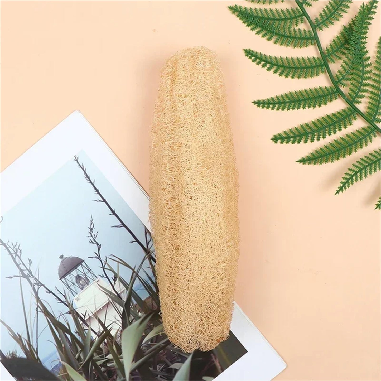 2PCS Natural Loofah Luffa Loofa Bath Body Shower Exfoliating Scrubber Sponge Kitchen Scrub Pad Rub Pot Dishes Cleaning Brush(2PCS(30-39cm)) Beauty and Personal Care HIVJEEDYH