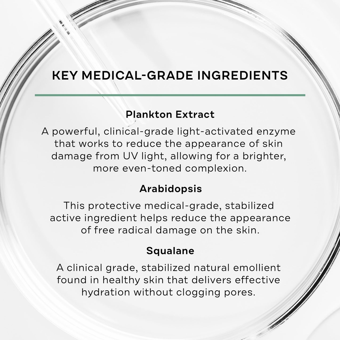 Replenix Age Restore Bio-Repair Serum, Anti-Aging Brightening Face Treatment with Medical-Grade Antioxidants (1.7 oz) Beauty & Personal Care Replenix