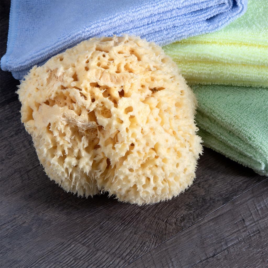 Neptune Natural Renewable Sea Wool Sponge, Hand Cut, Large, Approx. 6-7" Beauty & Personal Care Neptune Natural
