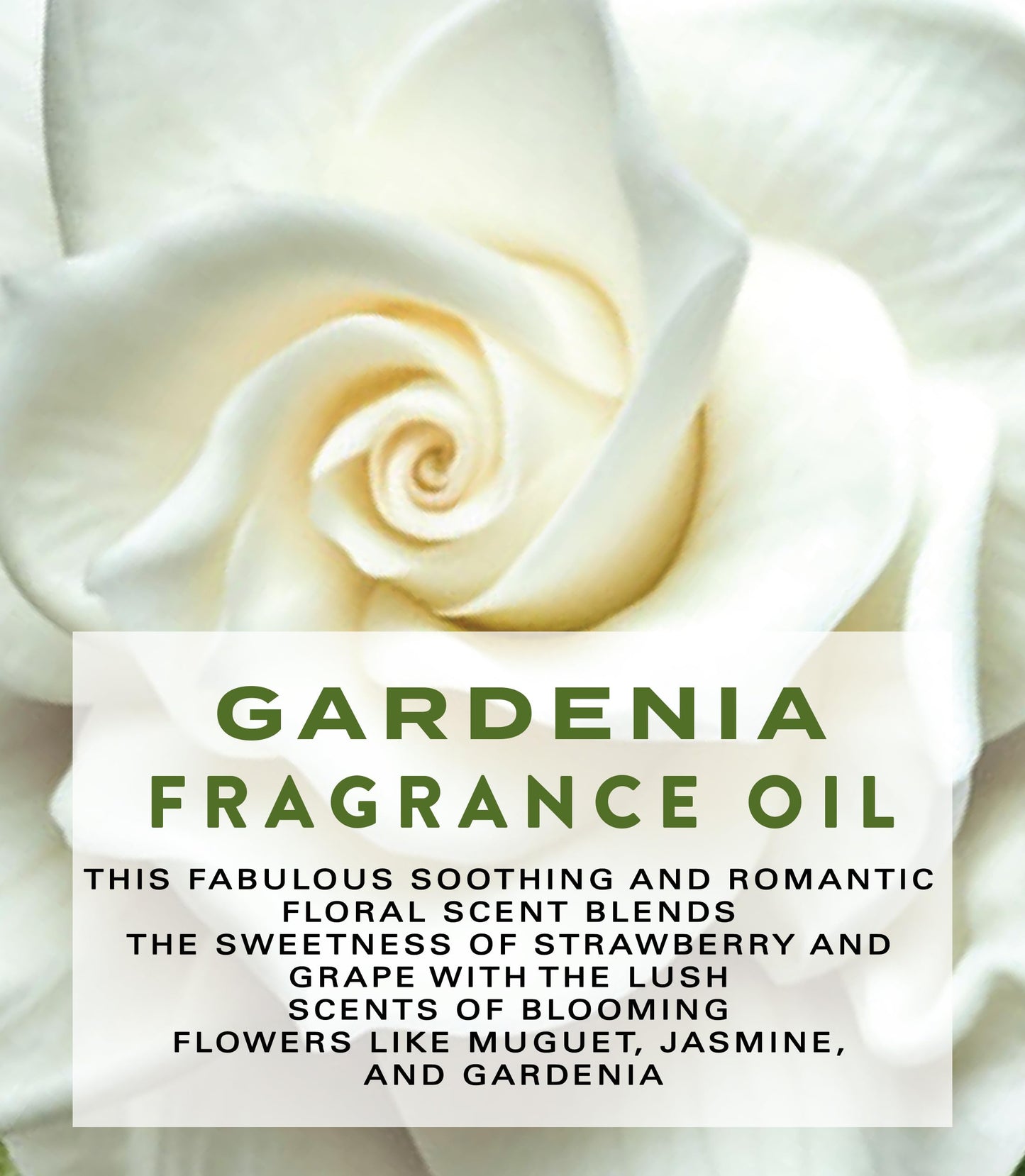 Botanical Beauty GARDENIA FRAGRANCE OIL ROLL-ON 0.338 Fl Oz 10 ml Rollerball Perfume, Long Lasting an luxury scent of blend of Lily of the Valley Beauty & Personal Care Botanical Beauty