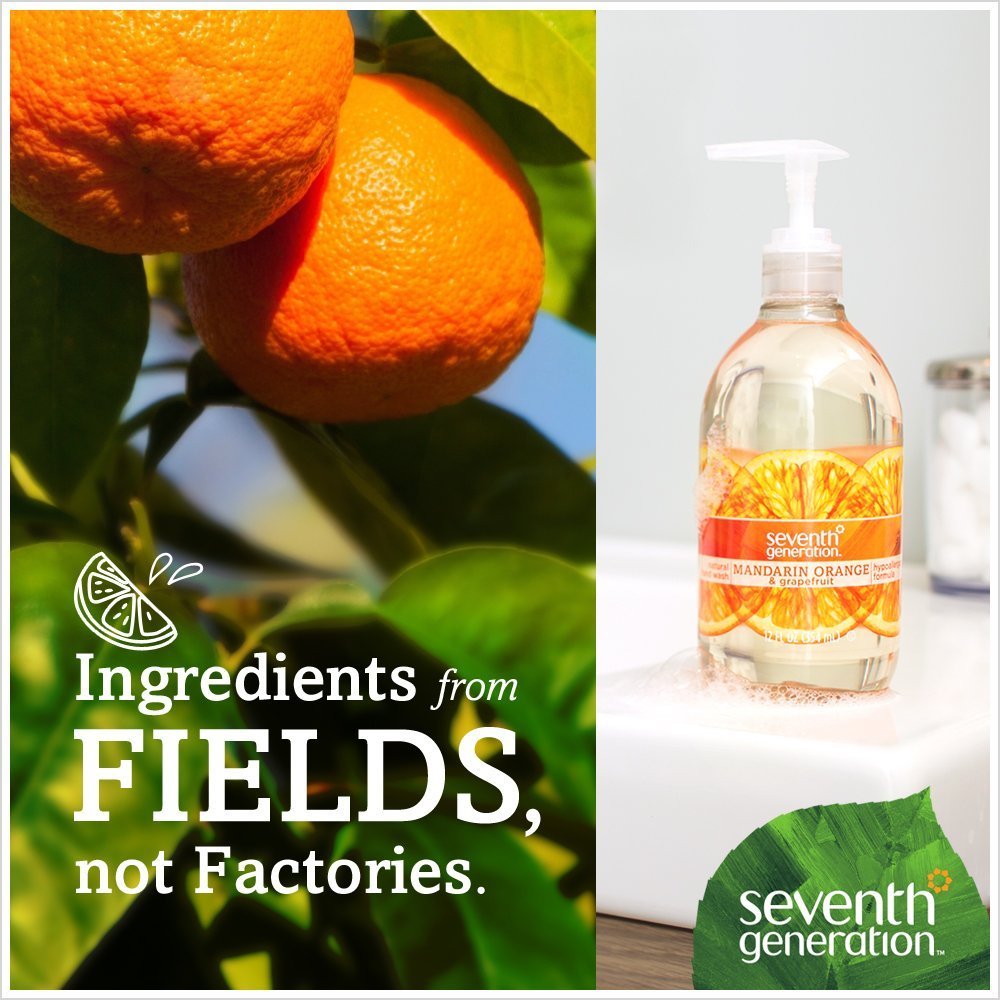 Seventh Generation Hand Wash, Mandarin Orange and Grapefruit, 12 Ounce (Pack of 6) Beauty & Personal Care Seventh Generation